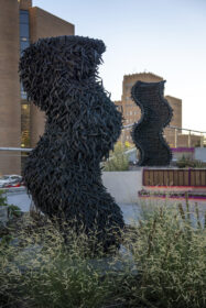 photograph of sculptural piece emerging from plant bed