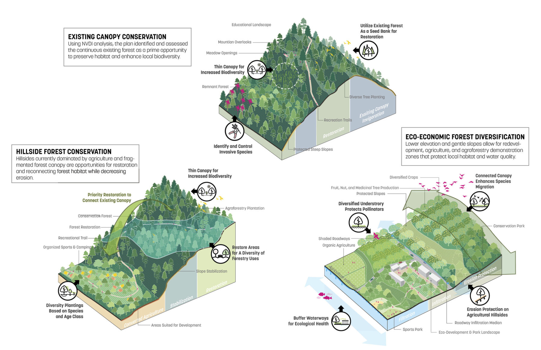 Diagram and renderings of large-scale park master plan in China