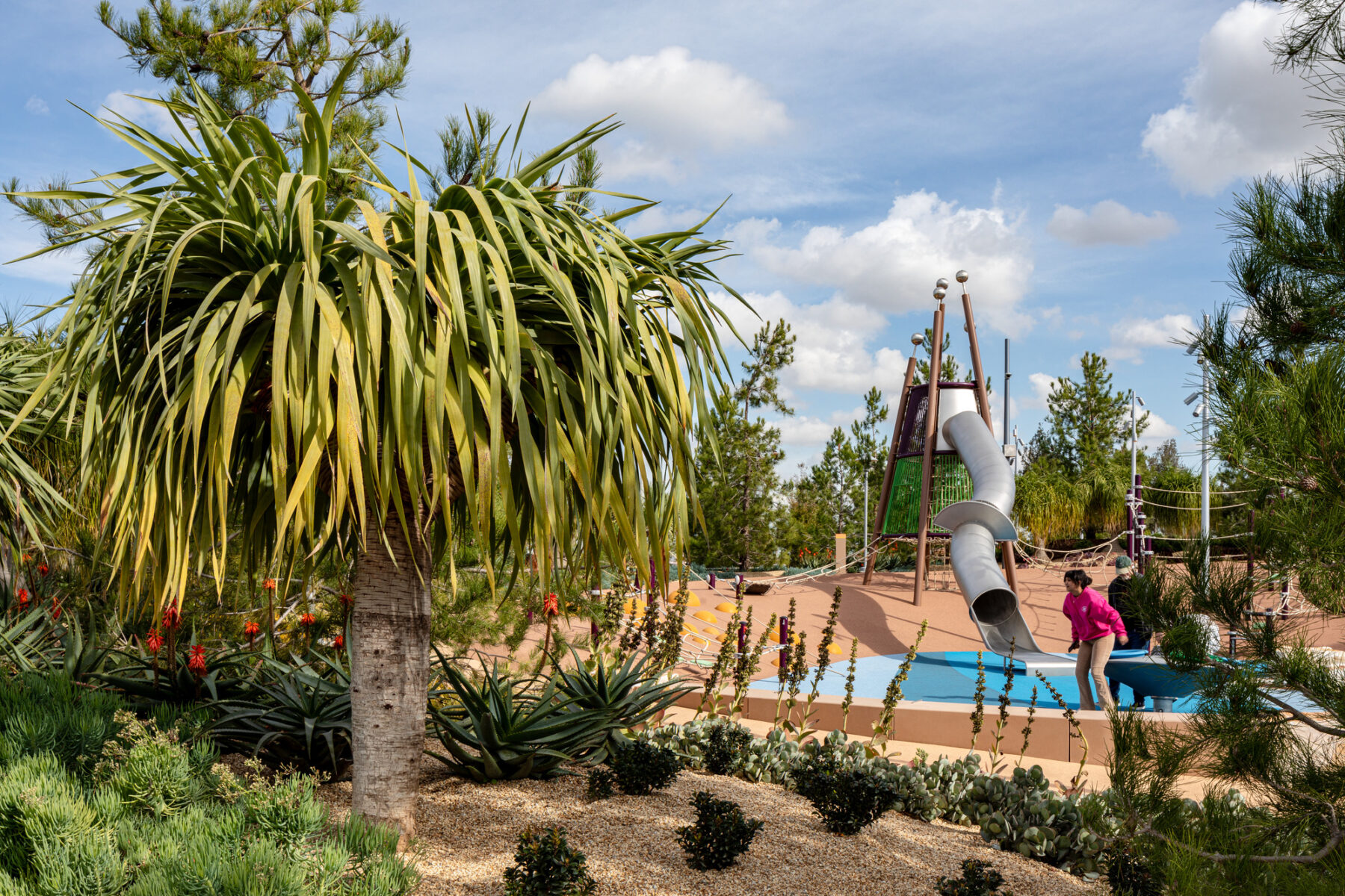 photo with lush tree in foreground and view towards park playscape