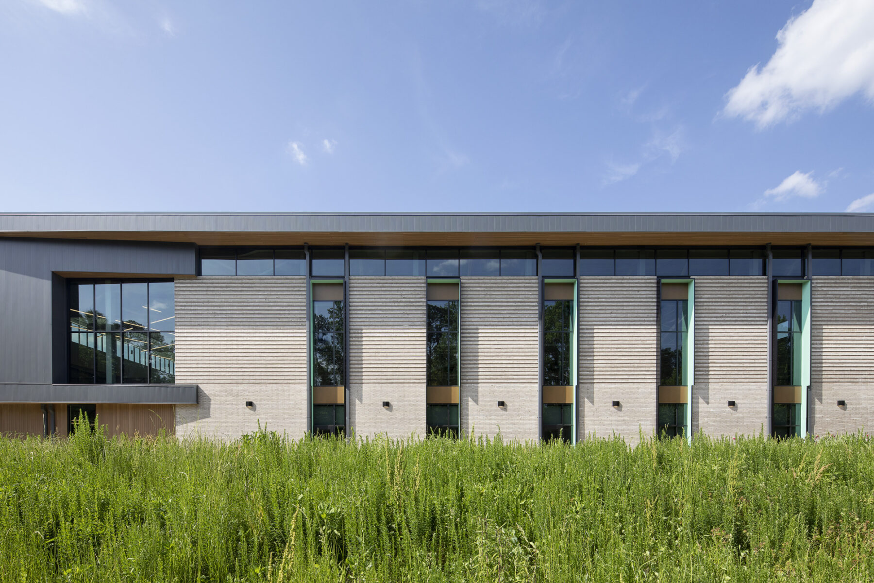 Mid afternoon sunlight on building façade with long windows and meadow grass in the foreground