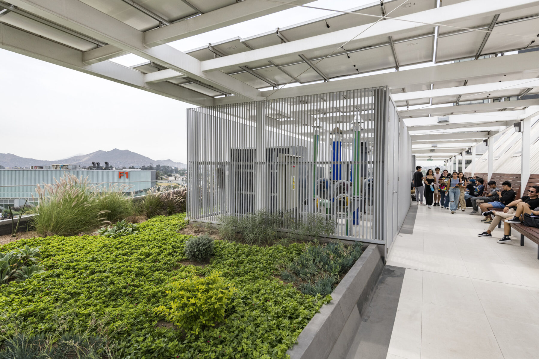 photograph of rooftop terrace featuring plantings and shade structures